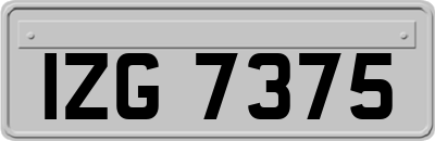 IZG7375