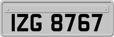 IZG8767