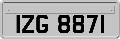 IZG8871