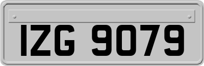 IZG9079