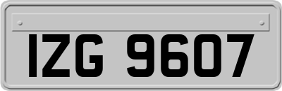 IZG9607