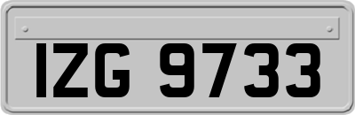 IZG9733