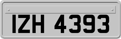 IZH4393