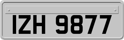 IZH9877