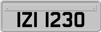 IZI1230