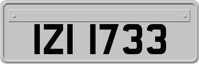 IZI1733