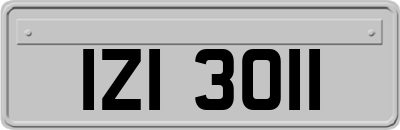 IZI3011