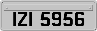IZI5956