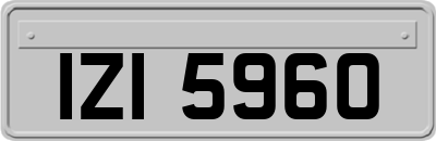 IZI5960