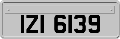IZI6139