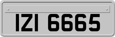 IZI6665