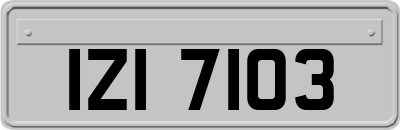 IZI7103