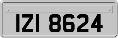 IZI8624