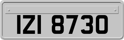 IZI8730