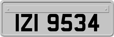 IZI9534