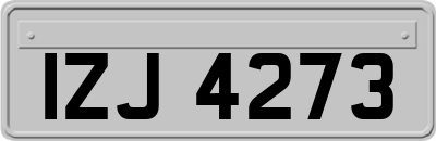 IZJ4273