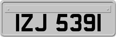 IZJ5391