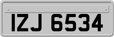 IZJ6534