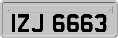 IZJ6663