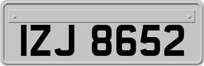 IZJ8652