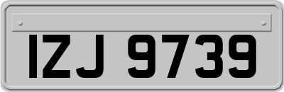 IZJ9739