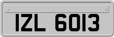 IZL6013