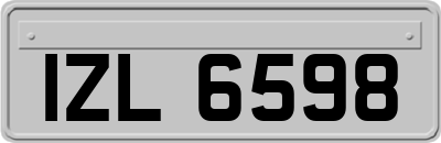 IZL6598