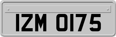 IZM0175