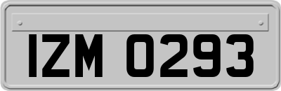 IZM0293