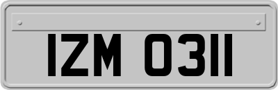 IZM0311