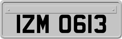 IZM0613