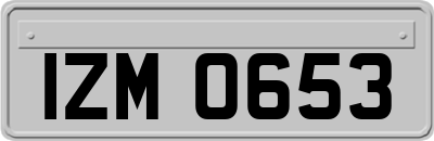 IZM0653