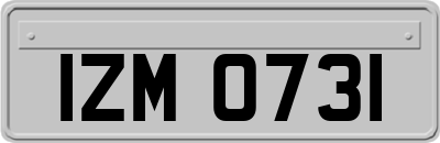 IZM0731