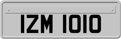 IZM1010