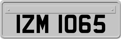 IZM1065