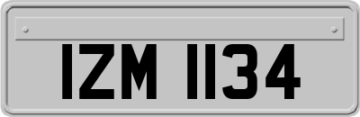 IZM1134