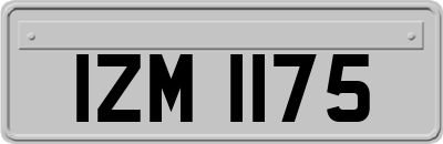 IZM1175