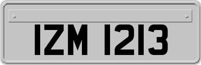 IZM1213