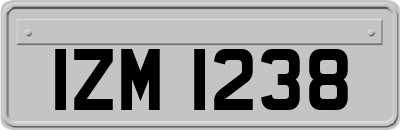 IZM1238
