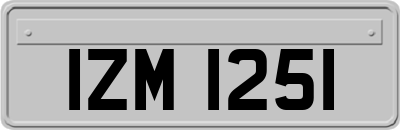 IZM1251