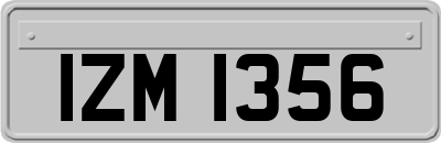 IZM1356
