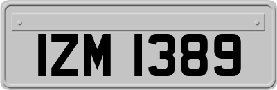 IZM1389