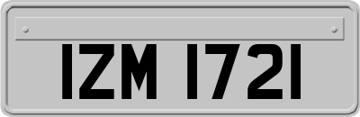 IZM1721