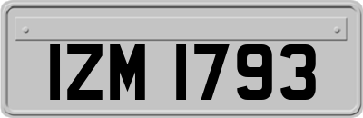 IZM1793