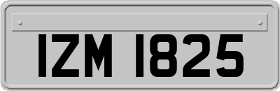 IZM1825