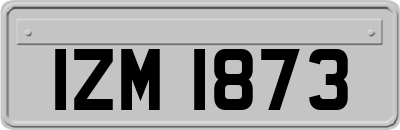IZM1873