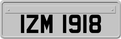 IZM1918