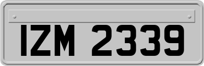 IZM2339