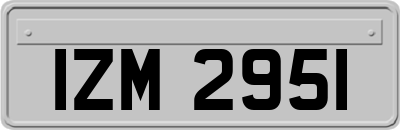 IZM2951