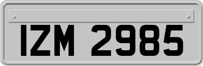IZM2985